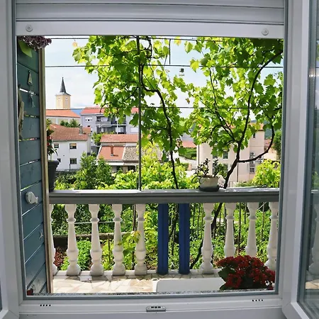Apartment Biondi Viskovo
