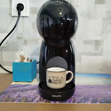 Biondi 아파트 Viskovo