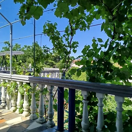 Biondi * Viskovo