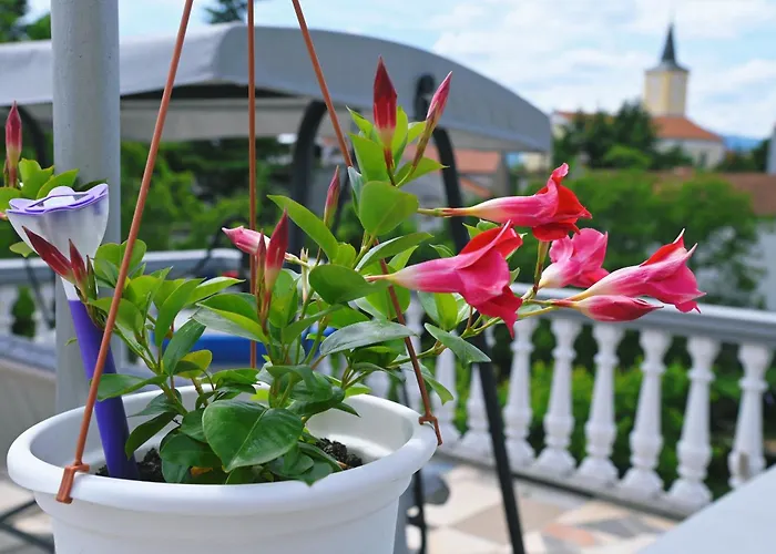 아파트 Biondi Viskovo